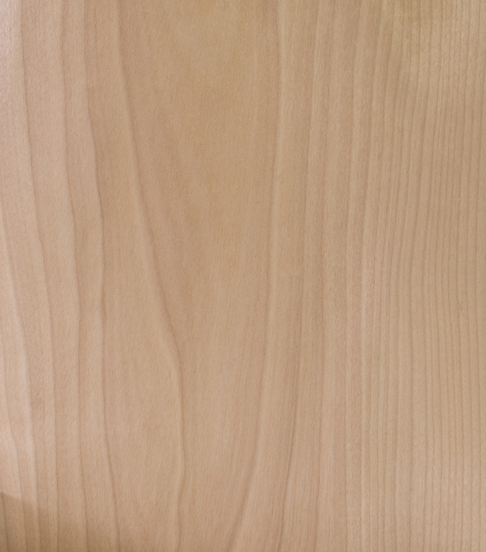 Furnier Birke europisch | Furniere / Furnierdecks | Schnittholz / Kanteln  | Carl Gtz