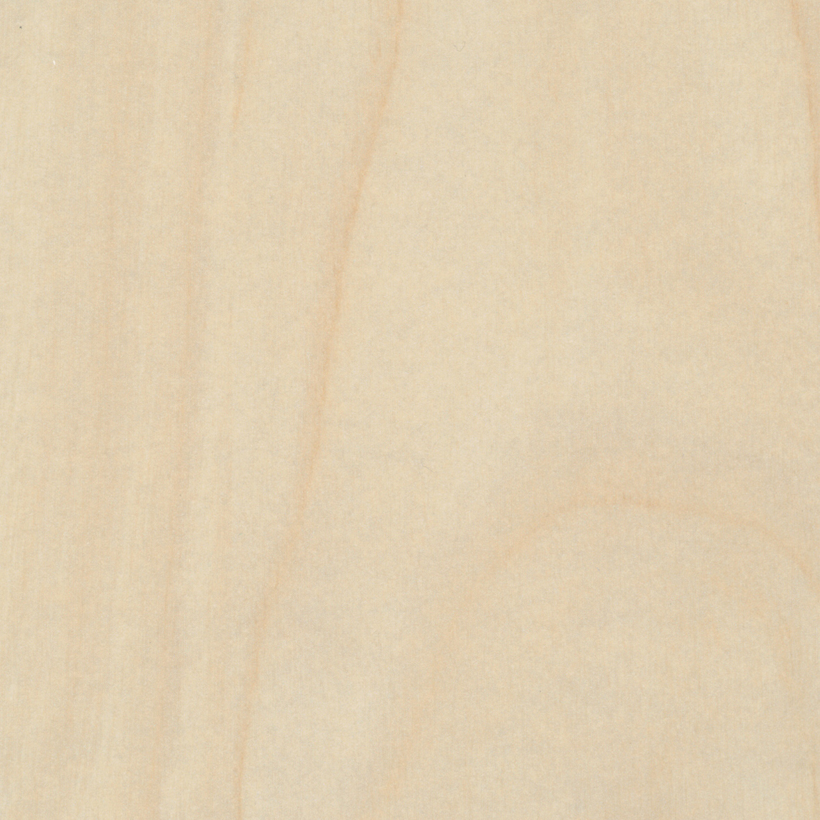 Beschichtete Spanplatte Pfleiderer R55064 FL Florence Seekiefer ...