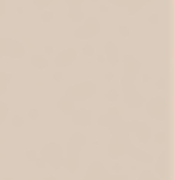Schichtstoffplatte Duropal/Pfleiderer U16003 (U1343) SD Sandpearl Sandbeige ähnlich NCS S2005-Y50R