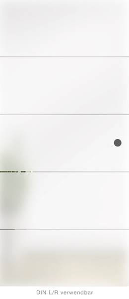 Ganzglasschiebetüre 8 mm Atos Typ 101 Fläche matt Streifen klar