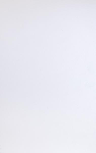 Laubsperrholz Pappel europäisch weiß 0,6mm HPL Greenlam-weiß 113 suede